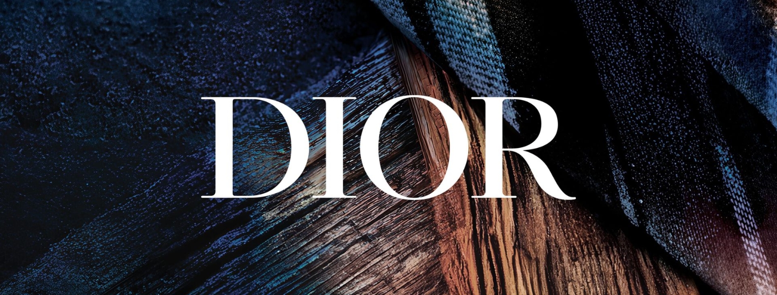 Banner Principal Dior